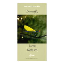 Damselfly Tarjeta Personal Con Foto