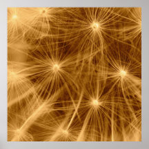 Dandelion especie - Pusteblume arte 2012 005 Impresiones