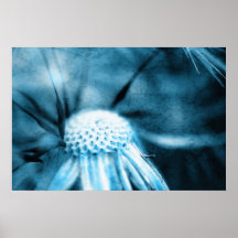Dandelion especie - Pusteblume arte 2012 007 Impresiones