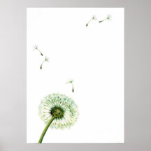 dandelionr posters