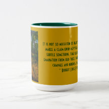 dans le forêt de le chemin tazas