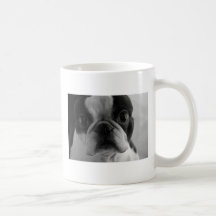DansonBostons Tazas De Café