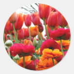 Danza de la amapola del tulipán pegatina