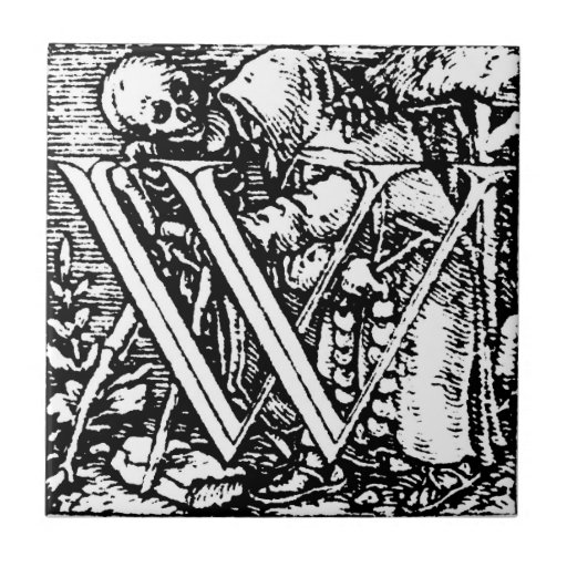 Diseno de la casa letra blanca
