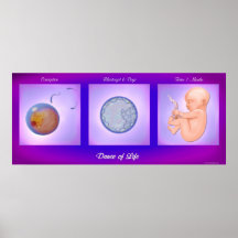 Danza de la vida posters