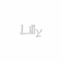 Danza de Lilly Chaquetas Bordadas