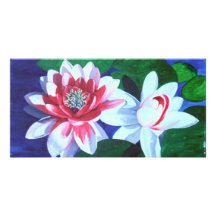Danza de Waterlily Tarjeta Fotografica Personalizada
