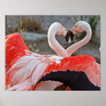Danza del amor posters