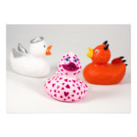 Daphne en patos de la conciencia del amor comunicado personalizado