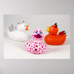 Daphne en poster de los patos de la conciencia del
