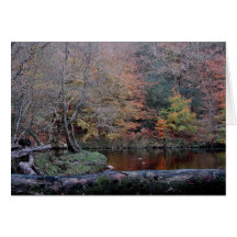 Dardo del río de Dartmoor en Autunm (2) Tarjeton