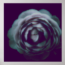 darknesscontainbeauty impresiones