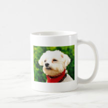 Darren maltés taza de café