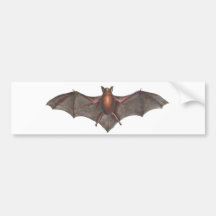 Darwin amó feliz Halloween de los palos Etiqueta De Parachoque