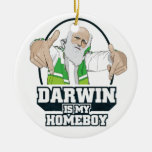 Darwin es mi Homeboy (a todo color) Adornos De Navidad