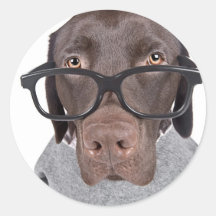 Dawg Geeky Pegatina