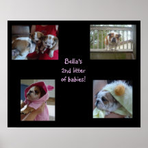 De Bella la litera en segundo lugar Poster