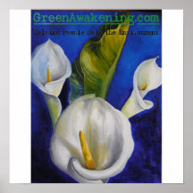 De la cala poster lilly