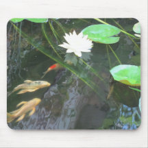de la charca flor y koi lilly alfombrilla de raton