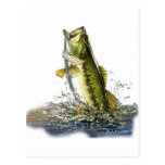 De la colección de agua dulce por FishTs.com Tarjeta Postal