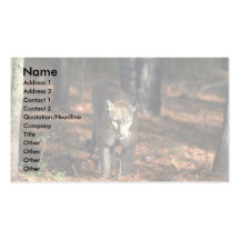 """" de la pantera del """" de la Florida (puma) Plantilla De Tarjeta De Negocio