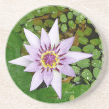 De la púrpura placemat waterlily posavasos para bebidas