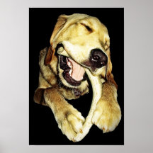 De oro contra la impresión del poster de la asta d