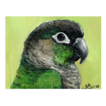 De "postal del arte del pájaro Cheeked Conure verd