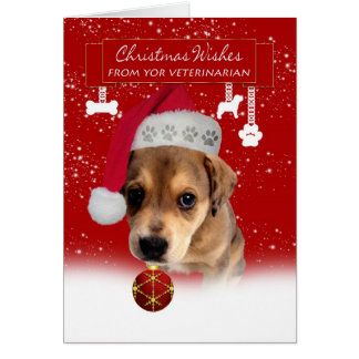 Tarjetas Veterinarios | Invitaciones Veterinarios | Postales Veterinarios