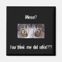 De Tabby del gato ojos de par en par Imán Para Frigorífico