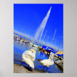 d'Eau del jet Poster