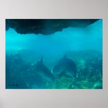 Debajo de dúo del agua posters