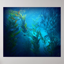 Debajo del mar poster