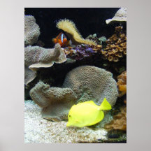 Debajo del mar posters