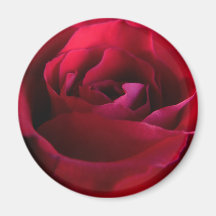 Decoración color de rosa rosada del recuerdo de lo