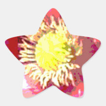 Decoración floral de STBX para el regalo, saludos, Pegatina Forma De Estrella Personalizadas