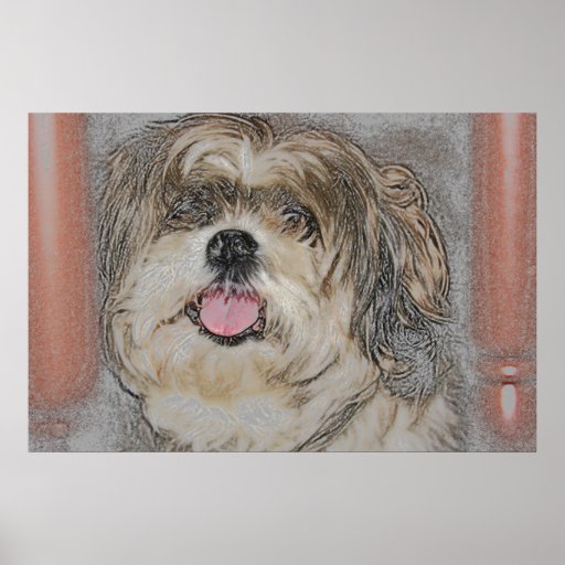 Dedicación - tzu de Shih Impresiones