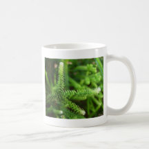 Dedos del árbol taza de café