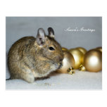 Degu y postales de los saludos de la estación de l