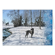 Dejáis le nevar, déjelo nevar, déjelo nevar tarjeton