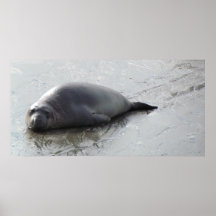 Déjelo solo poster