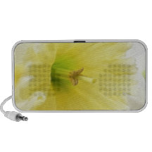 Del cierre narciso elegante para arriba - iPod altavoz