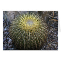 Del Ingenio del EL Charco del cactus de barril de  Felicitacion