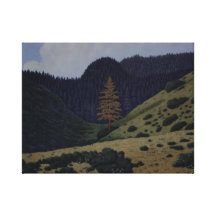 Del Norte Pine Impresión De Lienzo
