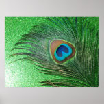 Del pavo real todavía de la pluma vida verde reluc poster