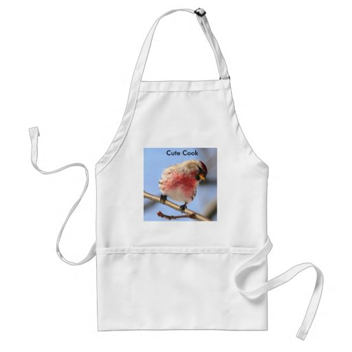 Delantal lindo del cocinero