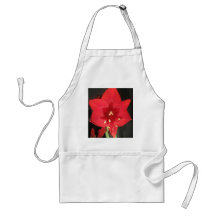 Delantal rojo de la flor del Amaryllis