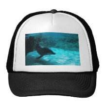 Delfín debajo del agua gorra