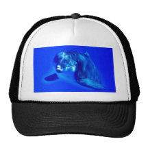 Delfín Gorros
