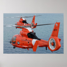Delfín HH-65 Posters